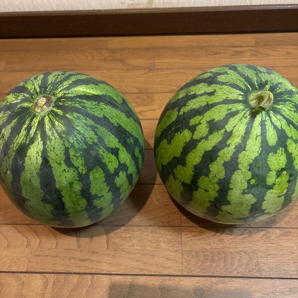 長野県産 スイカ 5.9kを2玉 訳あり ⑩