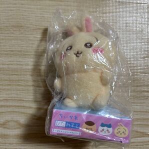 ちいかわ ぴたれすと