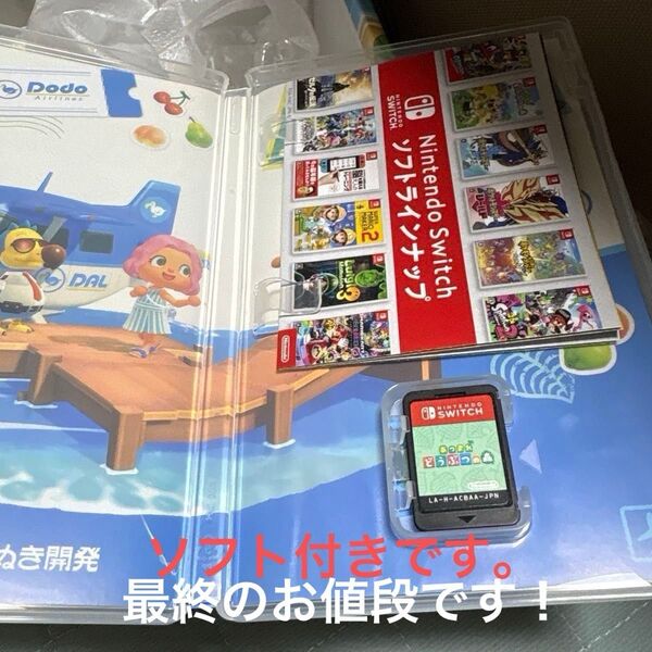 任天堂Switchどうぶつの森特別版本体ソフト付き