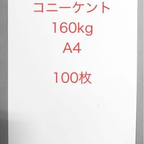 コニーケント紙 160kg A4サイズ100枚