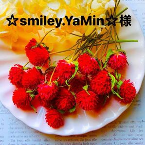 ☆smiley.YaMin☆様、サージカルステンレスポストピアス、 5セット