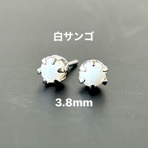763、サージカルステンレスポストピアス、天然石、白サンゴ、3.8mm、シルバー、ハンドメイド