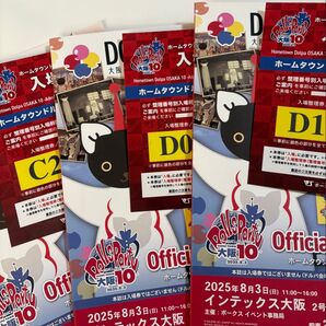 ホームタウン ドルパ 大阪10 ガイドブック 入場券 応募用紙あり 3部セット