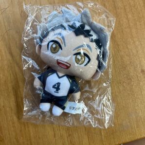 ガチャ ハイキューぬいぐるみマスコット 木兎光太郎