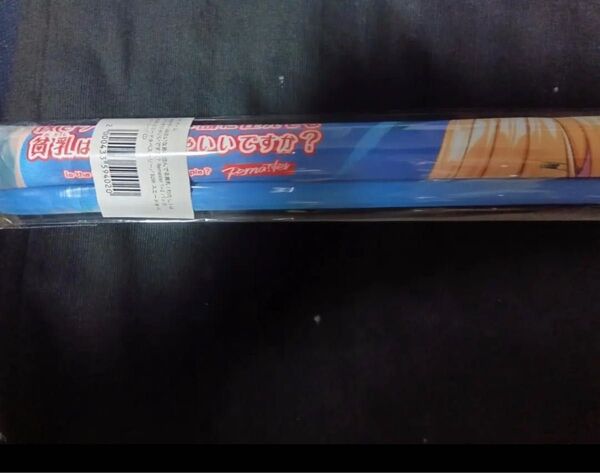 新品未開封 ぬきたし 片桐奈々瀬 ソフマップ 予約特典タペストリー