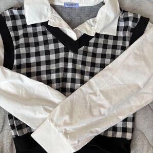 ehement チェック柄ベスト