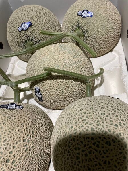 島根産アールスメロン 優2L5玉入り!8kg箱!