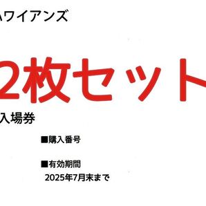 スパリゾートハワイアンズ 入場券 5枚セット