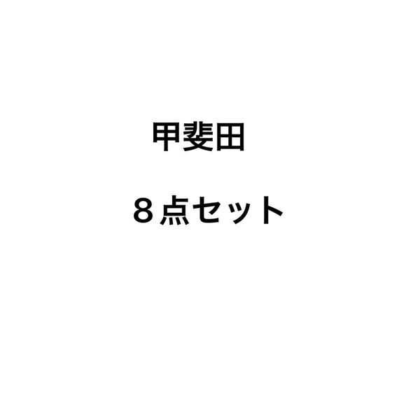 甲斐田8点セット