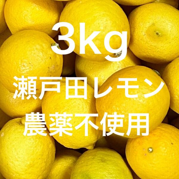 国産 瀬戸田レモン
