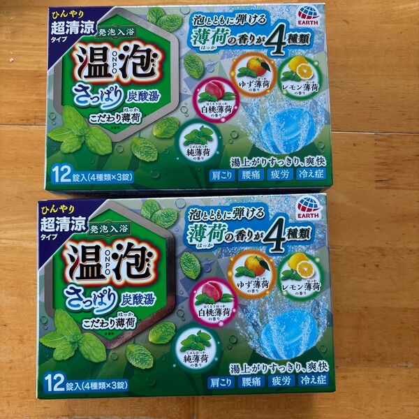 温泡 さっぱり炭酸湯 こだわり薄荷 12錠×2箱 24錠