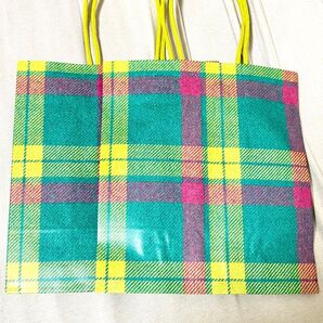 伊勢丹 ショッパー 小さめ 2つ