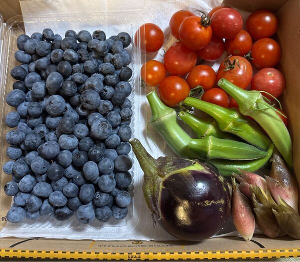 新鮮野菜とブルーベリーの詰め合せ、農薬不使用です