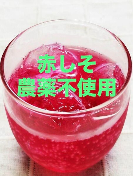 農薬不使用、赤しそ、葉っぱだけ300グラム