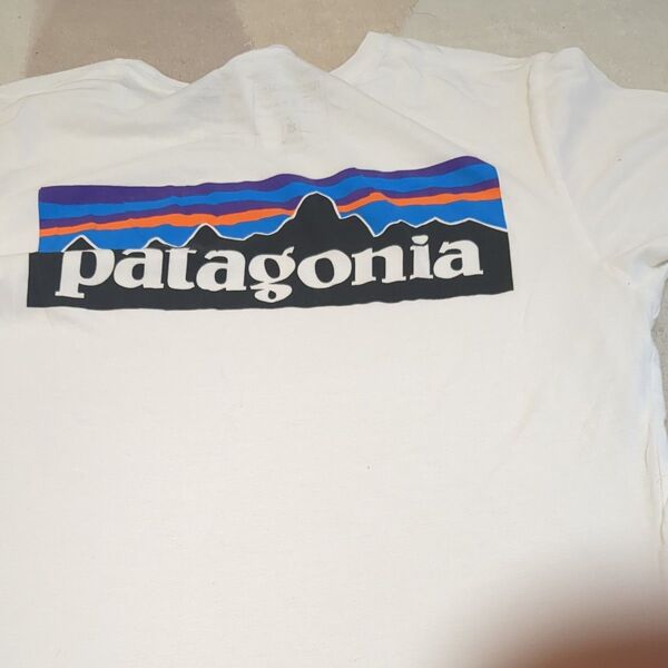 patagonia パタゴニア Tシャツ 白 Sサイズ