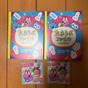 【2個セット】たまごっちパラダイス 特典 たまラボファイル、ステッカー