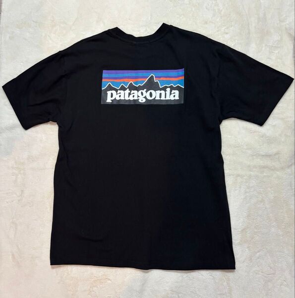 patagoniaパタゴニア レスポンシビリティー 半袖Tシャツ Lサイズ