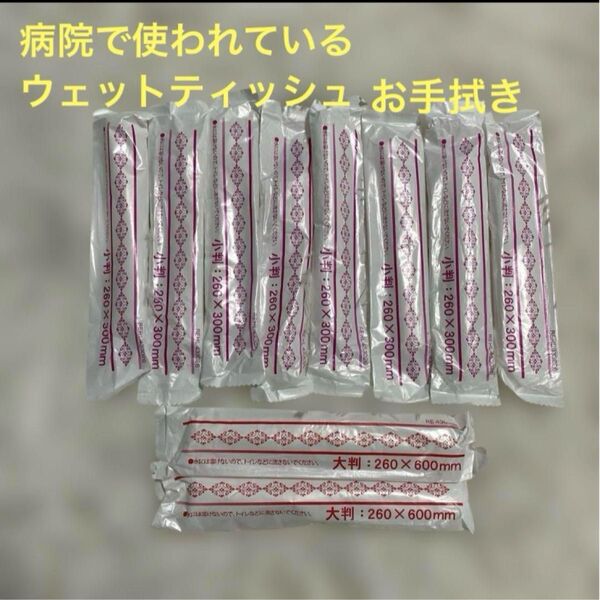 【2025年6月入手】病院でも使用されているウェットティッシュ・タオル 使い捨て 大判×2 小判×8