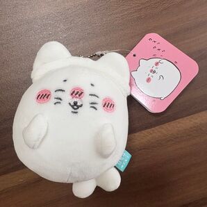 新品未使用 ナガノの水族館 アザラシくじ D賞 ねこ