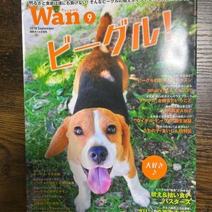 Wan9 2018.9月号