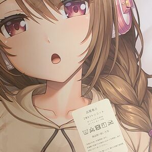 同居彼女 神城ほのか 抱き枕カバー