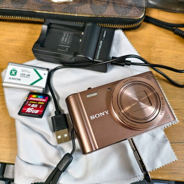 SONY DSC-WX300