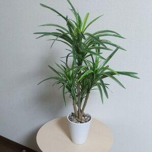 人工観葉植物 ユッカ インテリア グリーン