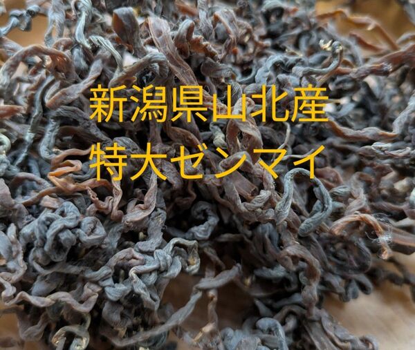 新潟県山北産 特大ゼンマイ100g