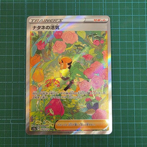 ポケモンカードゲーム ナタネの活気 243/172 SAR