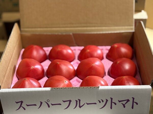 【特価】北海道産フルーツトマト5箱セット