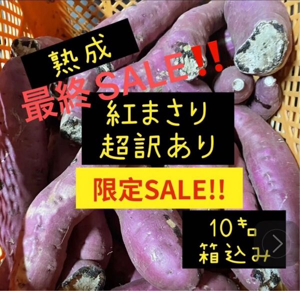 最終SALE!!熟成紅まさり超訳あり10㌔箱込み