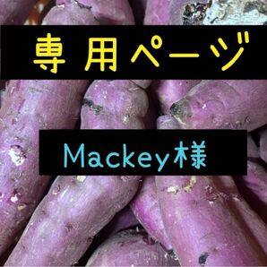 Mackey様専用ページ
