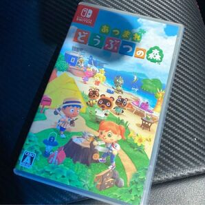 Nintendo Switch あつまれどうぶつの森 どうぶつの森 ニンテンドースイッチ