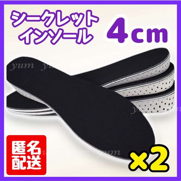 【2個】4㎝ シークレットインソール 中敷き 男女兼用 22.5~27cm