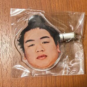 大相撲ガチャ フェイスヘアピン 平戸海関