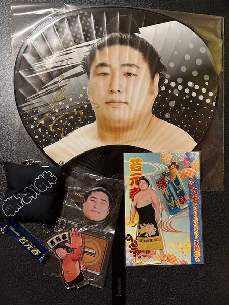 大相撲 若元春関 色々セット②