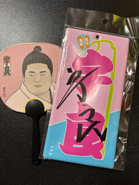大相撲 宇良関 セット
