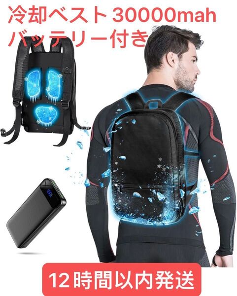 KLIFE ペルチェ冷却ベスト3つ冷却ブレート ペルチェ素子 30000mAh大容量バッテリー付き 強弱モード空調冷却服猛暑対策
