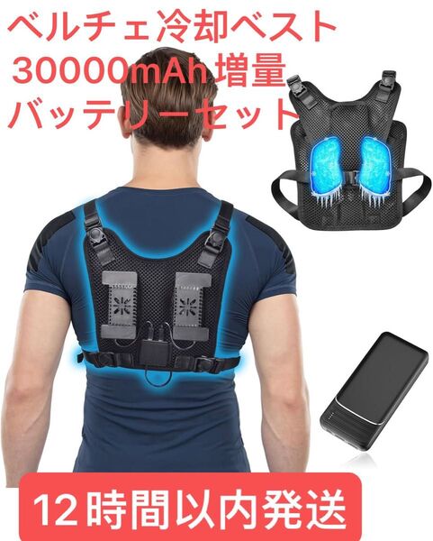 KLIFE ペルチェベスト 冷却ブレート付き 30000mAhバッテリーセット 冷却ベスト ペルチェ素子空調冷却服 フリーサイズ