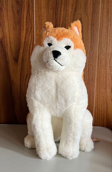 ほっこり秋田犬 ウルトラBIGぬいぐるみ ぼかまる