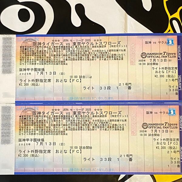 【ウル虎の夏】7/13(日)阪神対東京ヤクルト/ライト外野指定席33段2連番ペア【通路近】甲子園球場/限定オリジナルジャージ配布