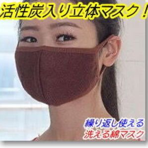 布マスク 10枚 茶色 女性 小顔 学生 活性炭入 pm2.5 活性炭入りマスク 花粉症 女性 マスク 布マスク 小顔
