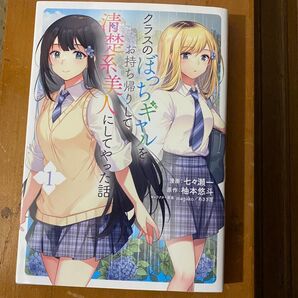 クラスのぼっちギャルをお持ち帰りして清楚系美人にしてやった話