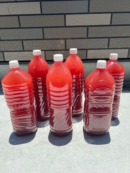 PSB光合成細菌12Lペットボトル