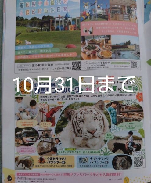 群馬サファリパーク 入園券10月31日まで