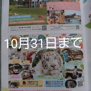 群馬サファリパーク入園券10月31日まで