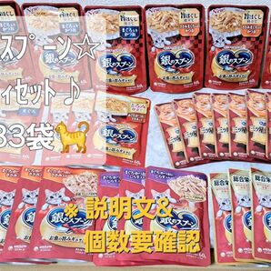 【個数要確認】残②点☆♪銀のスプーン バラエティー ⑧種 33袋セット♪☆