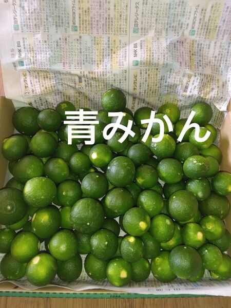 3.青みかん 摘果みかん 箱込み5㎏