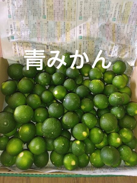 2.青みかん 摘果みかん 箱込み5㎏