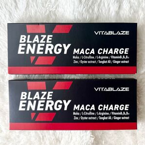 2箱 厳選マカ エネルギーチャージ ブレイズ エナジー マカ 30日分 亜鉛 BLAZE ENERGY アルギニン サプリメント